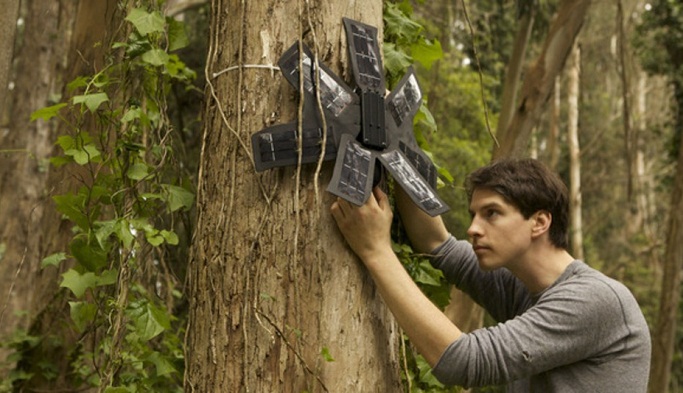 How smartphones can help monitor and prevent illegal deforestation
